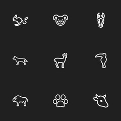 Fototapeta na wymiar Set Of 9 Editable Zoo Icons. Includes Symbols Such As Dog Steps, Deer, Hound And More. Can Be Used For Web, Mobile, UI And Infographic Design.