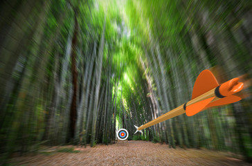 High speed arrow flying through blurred bamboo forest with archery target in focus, part photo,...