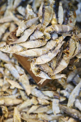 Dried fishes 