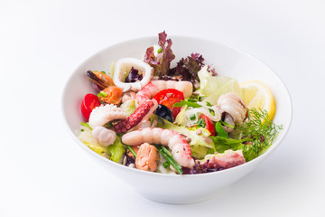 Sea food green salad