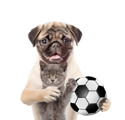 Cat and dog with soccer ball standing together. Isolated on white background