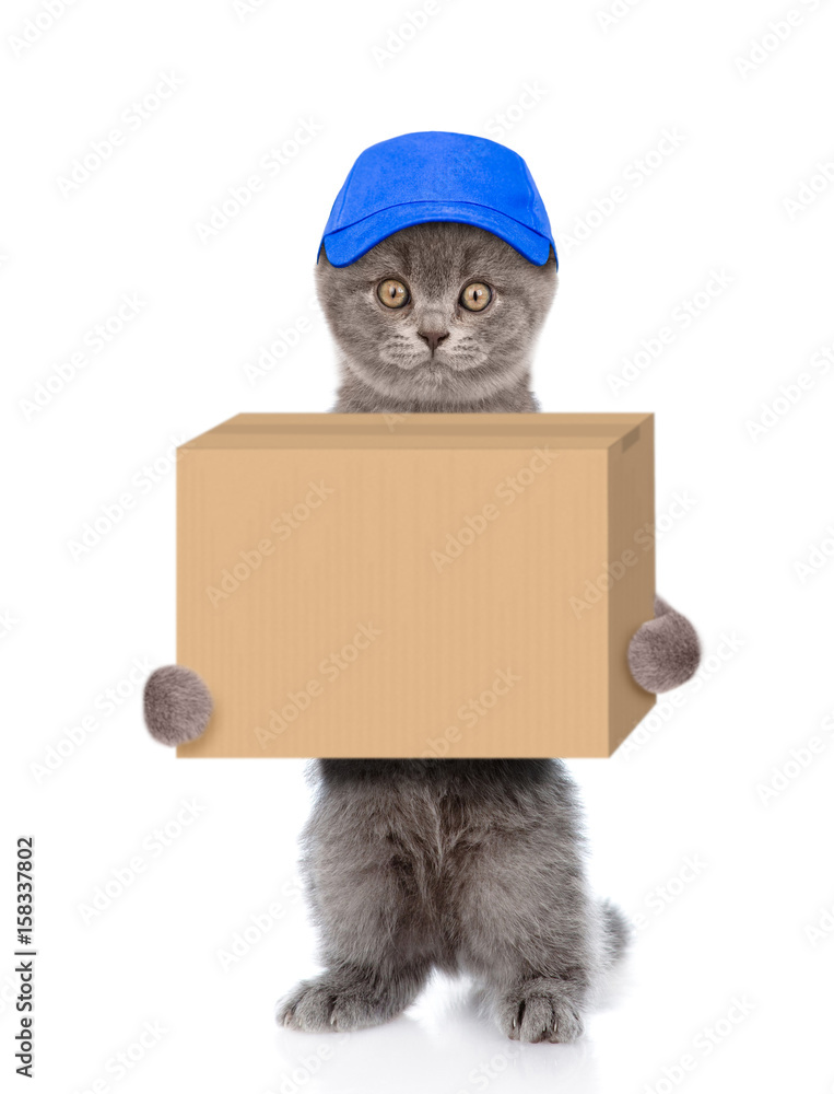 Poster funny cat delivering a big package. isolated on white background