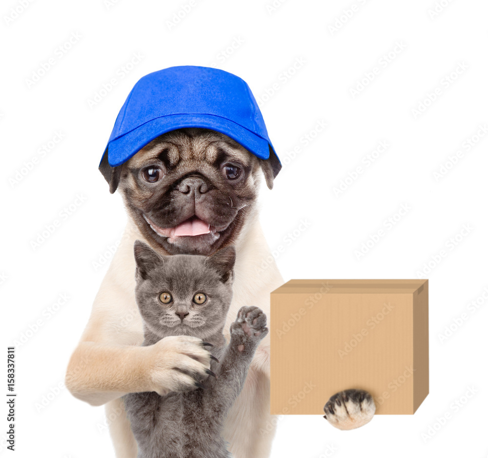 Poster funny dog with cat delivering a big package. isolated on white background