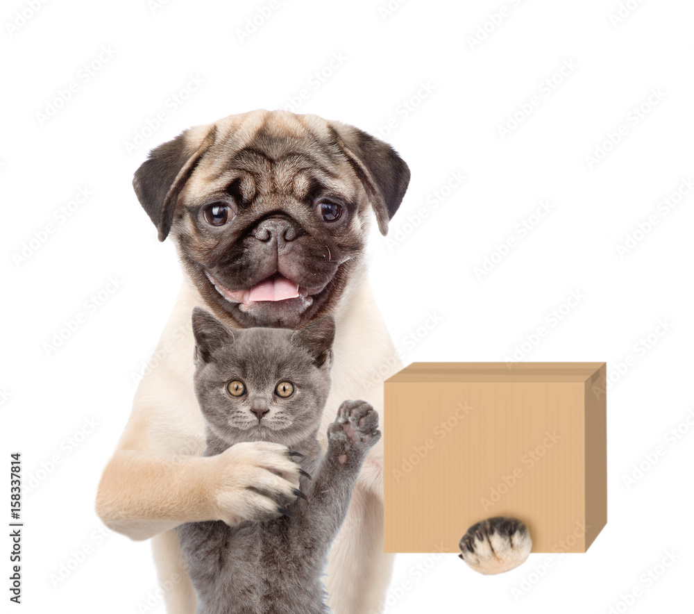 Poster funny dog in hat laborer with cat delivering a big package. isolated on white background