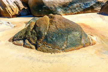 A granite rock sitting in the sand at Alma Beach, Magnetic Island, Queensland, Australia