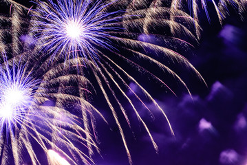 colorful fireworks brighten up the night sky