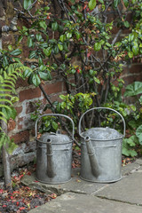 Two old watering cans in vintage style image of English contry garden