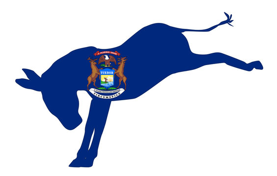 Michigan Democrat Donkey Flag