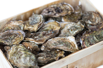 Bouriche d'huîtres