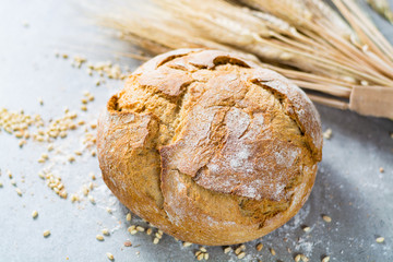 Freshly baked traditional wheat bread and wheat ears
