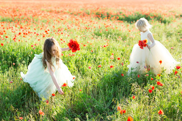 wedding, holidays, freedom, vacation, health, nature concept - two fascinating princesses in...