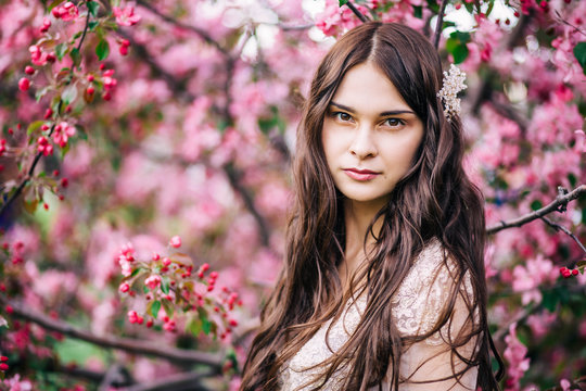 Spring Portraits Gorgeous Young Woman On Cherry Blossom Background