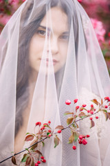 portrait of a bride under a veil, beautiful brunette girl, close-up, pink flowers, Sakura, tree