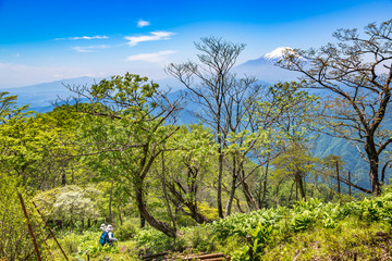 丹沢の登山道