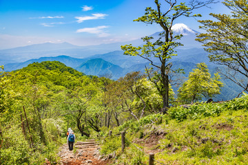 丹沢の登山道