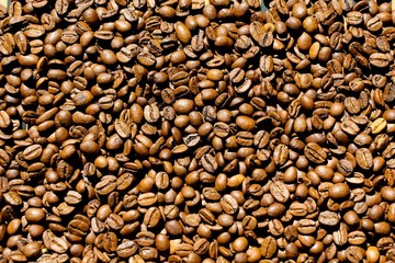  Coffee bean.
