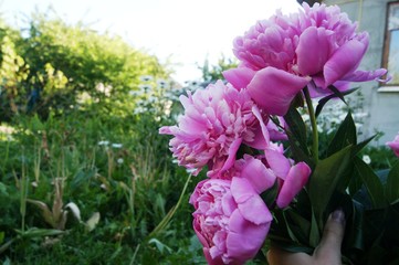SONY DSC