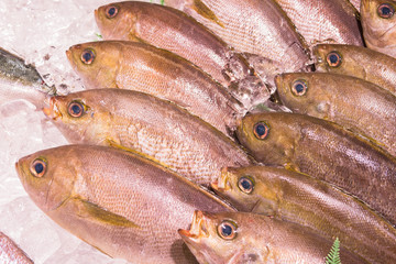 Seafood market Grunt