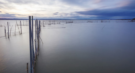 Fishing nets