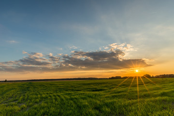 Fototapeta na wymiar Sun with beams over the meadow with grass