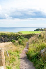 Curves of scottish fields and ravines in Dunnottar. Panoramic view.
