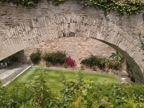 Jardin con arco medieval