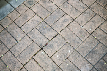 Cement floor in garden