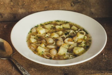 Vegetable soup with Pasta Conquiel
