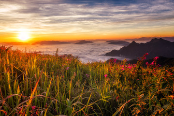 Landscape of sunrise morning  with fog on Phu chee Fa in Chiang Rai, Thailand.