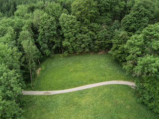 Aerial view of footpath in forest