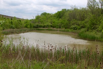 The pond in the park on a overcast day.