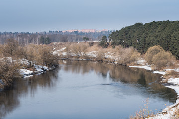 Spring landscape with willow branches