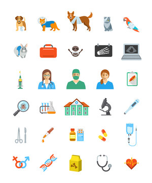 Vet clinic services vector icons. Pet treatment flat symbols. Domestic animals health care concepts. Bandaged dog, sick cat, ill puppy, kitten, parrot and rabbit. Veterinarian doctor, surgeon, nurse