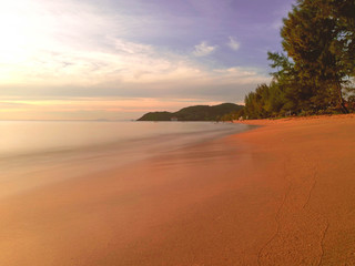Naklejka premium sun light sea and tree