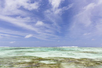 Snorkelers in La Digue, Seychelles