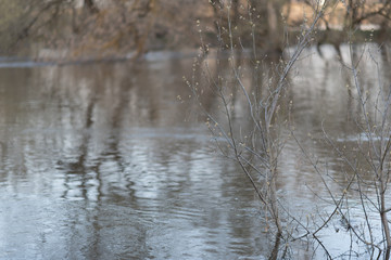 Obraz na płótnie Canvas flooded river bank