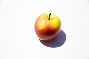 Apfel-Portrait