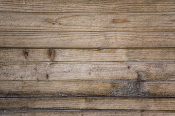 Obraz premium Wood texture