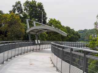 The treetop walk