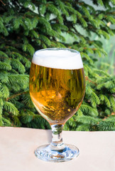Beer with foam in glass on wooden table on the background of nature.