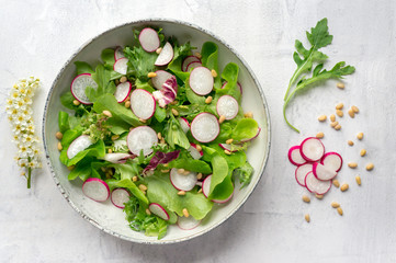Spring salad with radish, lettuce, arugula and pine nuts on white background. Spring cherry flowers...
