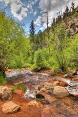 Mountain stream in Colorado Springs Colorado