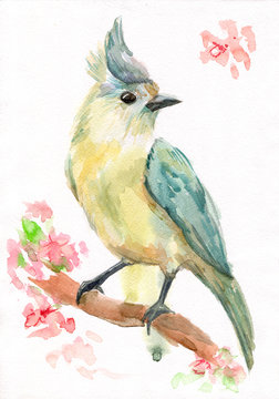 pretty bird on flowering twig. watercolor painting