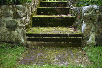 Moss Stone Stairs