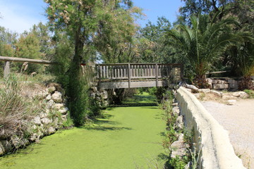 pont dans un jardin botanique