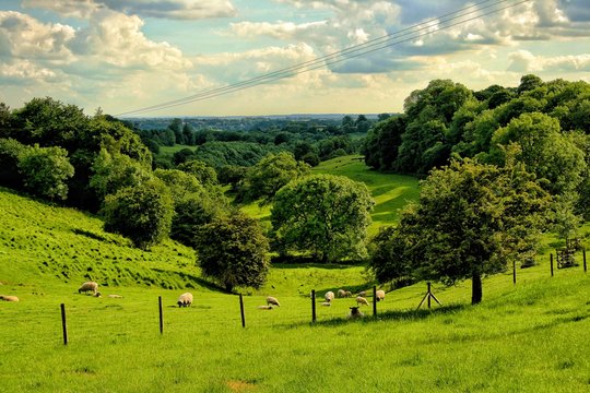 Valley In The Cotswold