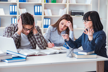 Young student and teacher during tutoring lesson