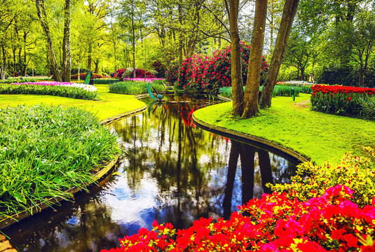 Blooming Garden of Europe, Keukenhof park. Netherlands.