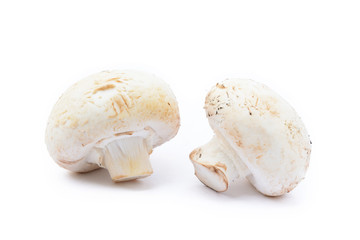  Fresh champignon mushrooms isolated on white background