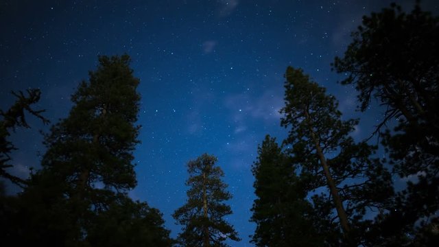 Stars in Alpine Forest 11 Time Lapse Clouds